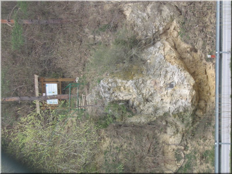 precz-nalogi070.JPG