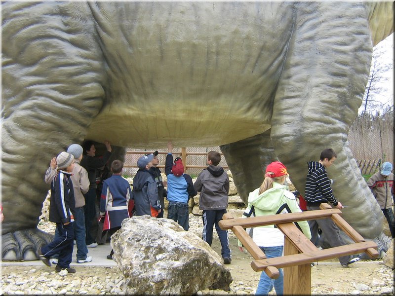 precz-nalogi077.JPG