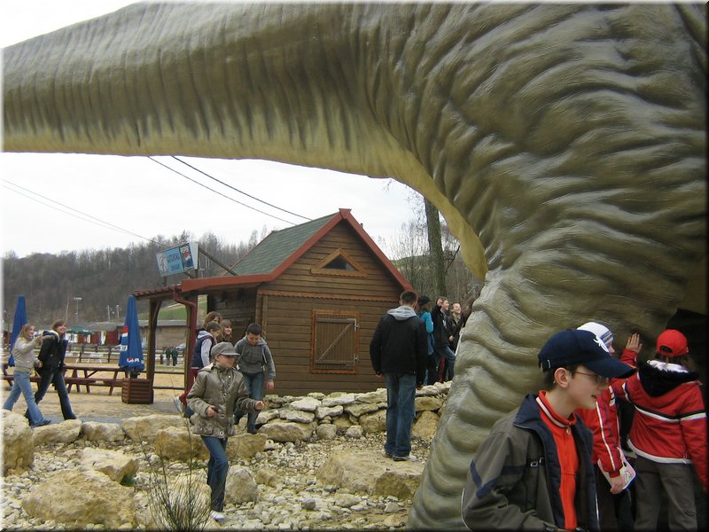 precz-nalogi078.JPG