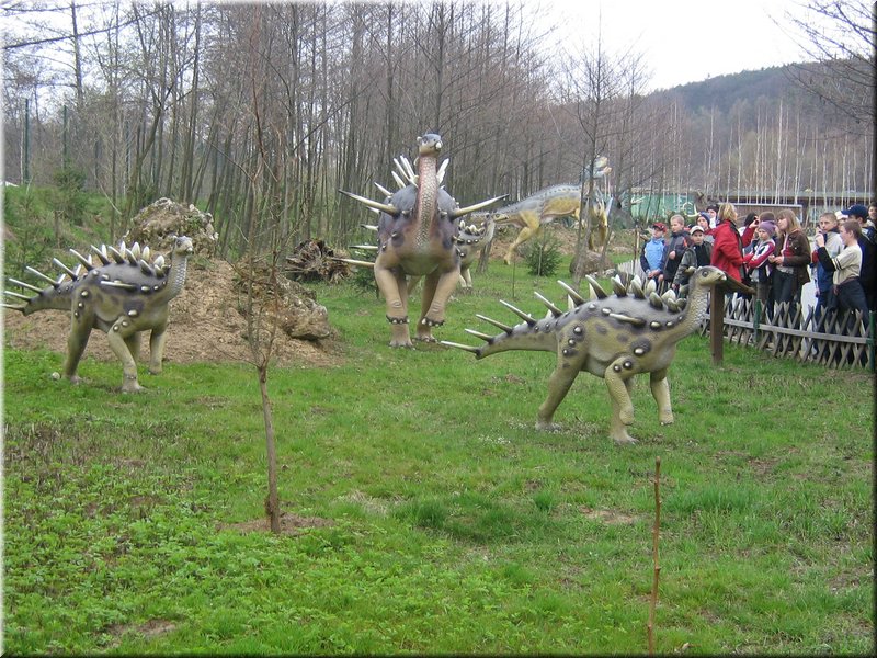 precz-nalogi081.JPG