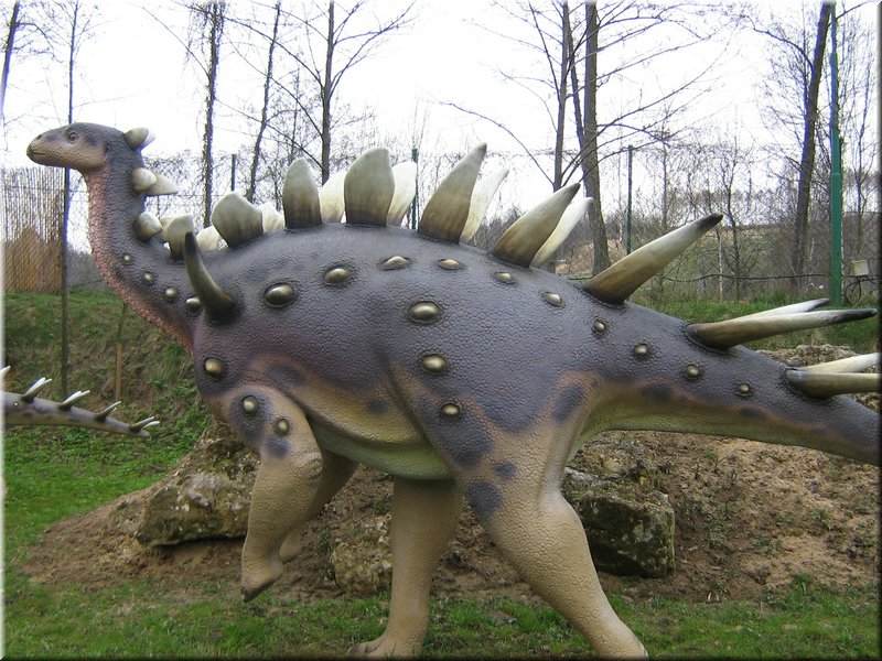 precz-nalogi083.JPG