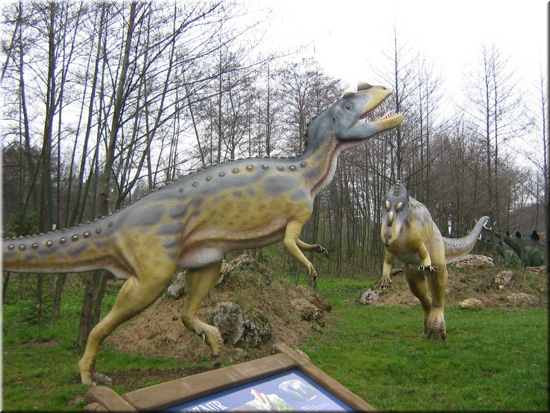 precz-nalogi085.JPG