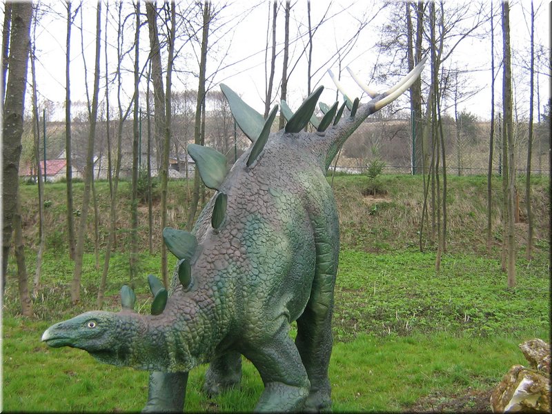 precz-nalogi089.JPG