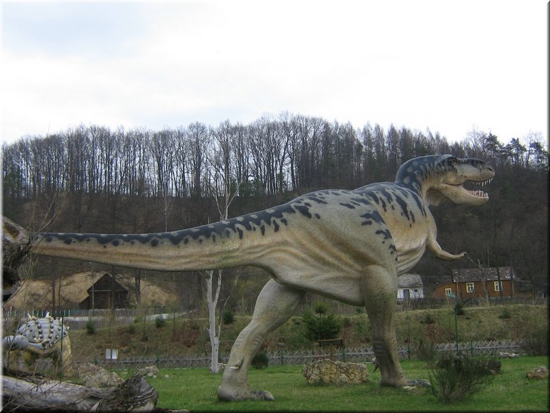 precz-nalogi098.JPG