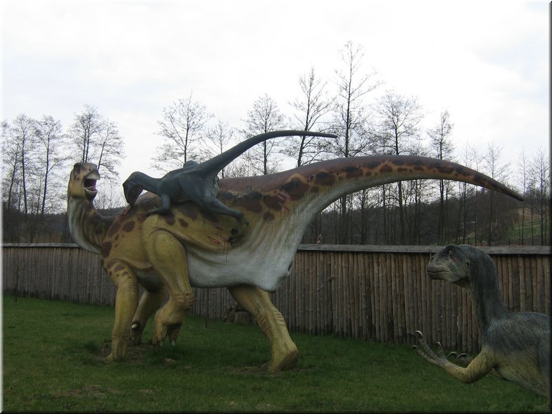 precz-nalogi099.JPG