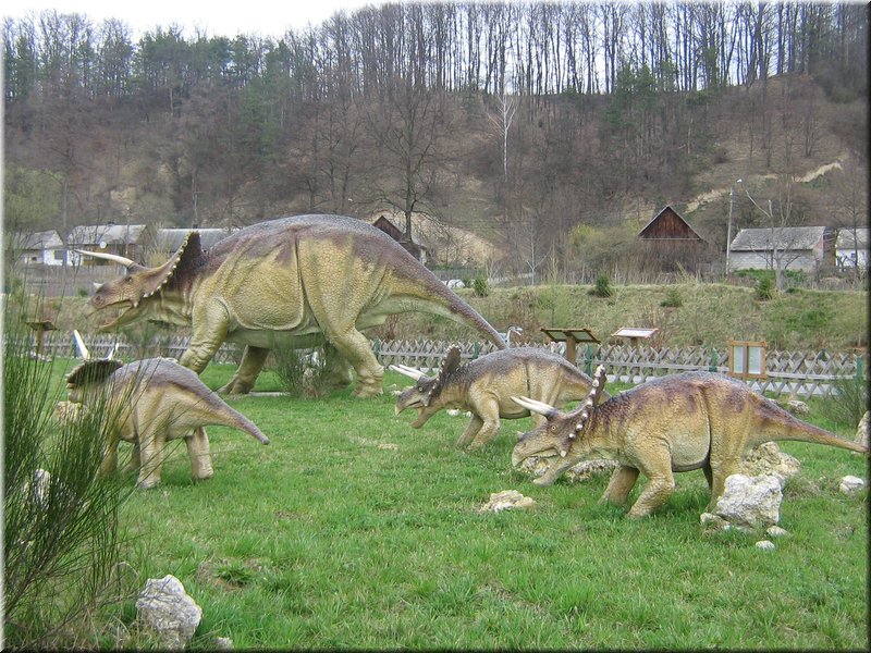 precz-nalogi104.JPG
