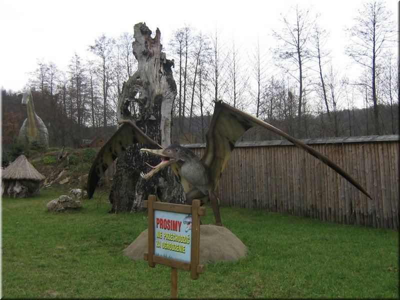 precz-nalogi108.JPG