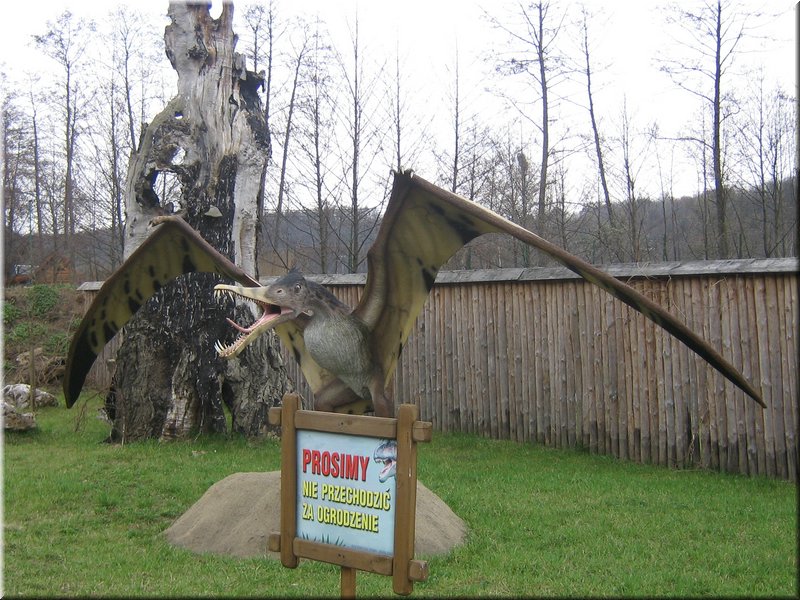 precz-nalogi110.JPG