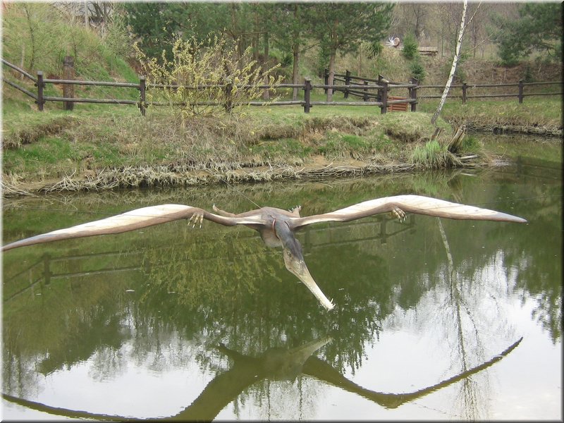 precz-nalogi113.JPG