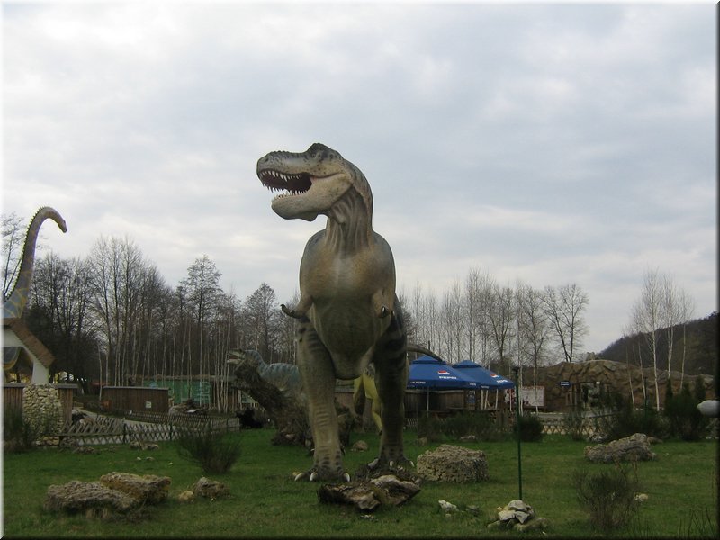 precz-nalogi114.JPG
