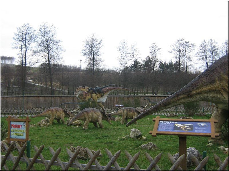precz-nalogi116.JPG