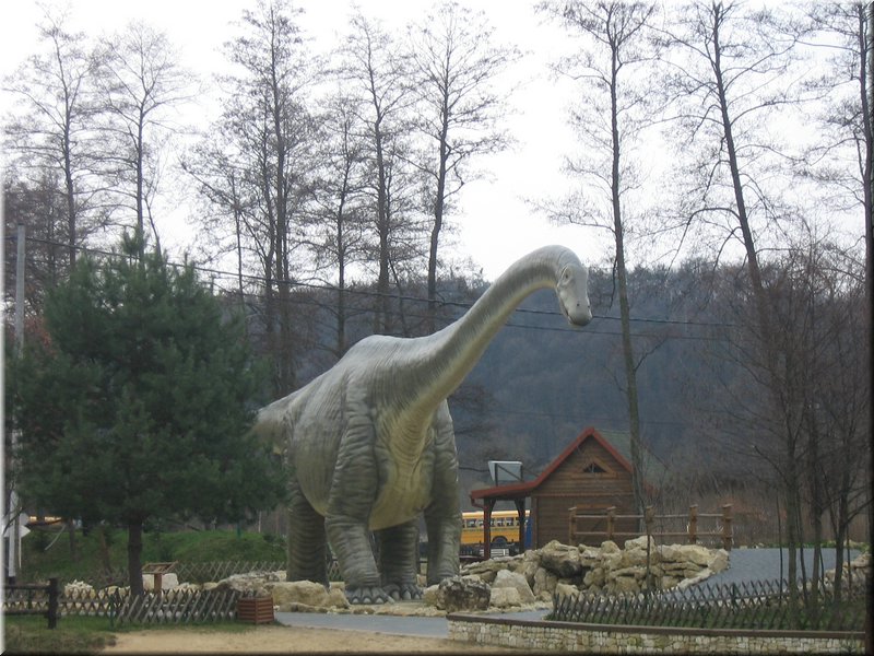precz-nalogi117.JPG