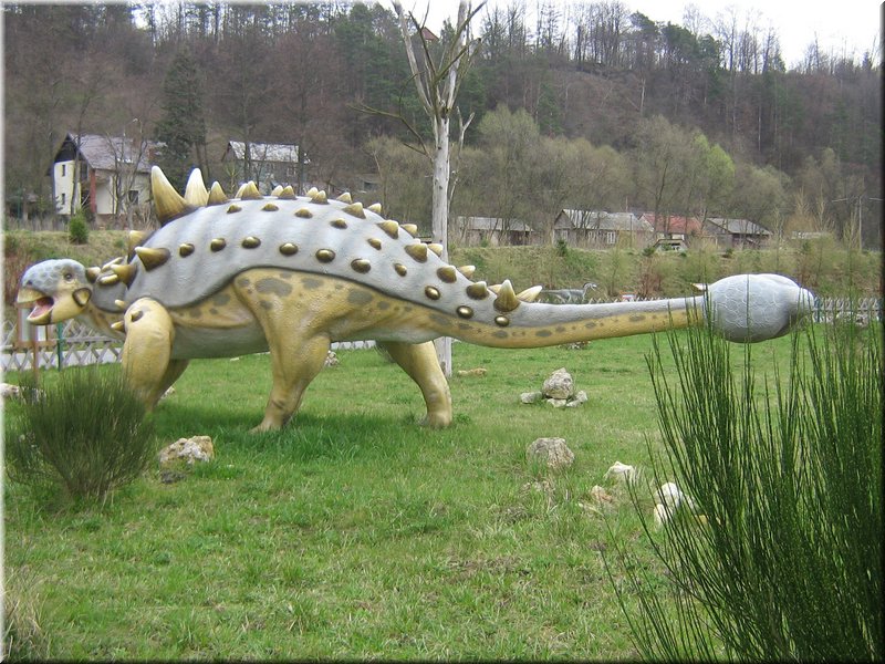 precz-nalogi123.JPG