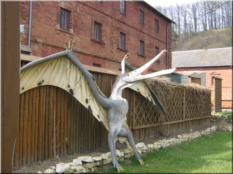 precz-nalogi158.JPG
